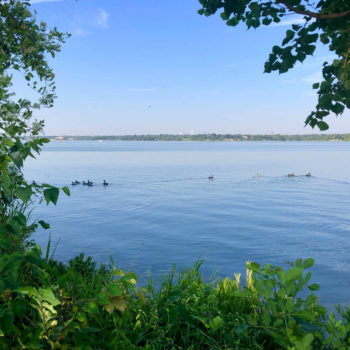 G4G DFW + For the Love of the Lake – September 2019 – 12