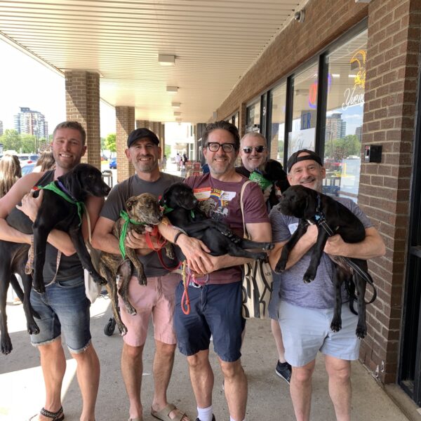 Lucky Dog and Cat Adoption May 14, 2023 Gay For Good LGBTQ+