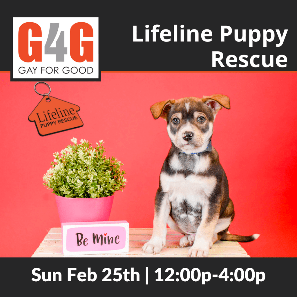 G4G Denver + Lifeline Puppy Rescue February 25, 2024 Gay For Good